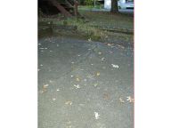 Root Heave Near Garage